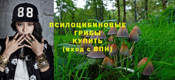 бошки Бугульма
