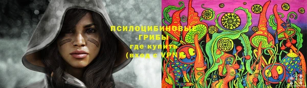бошки Бугульма